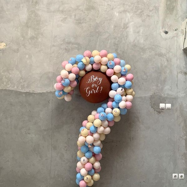 Standing Gender Reveal with Butterfly