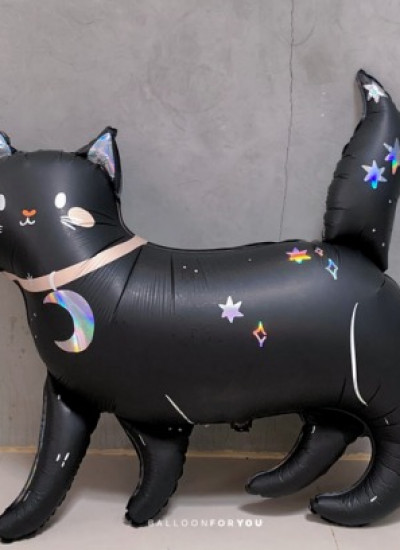 Black Cat