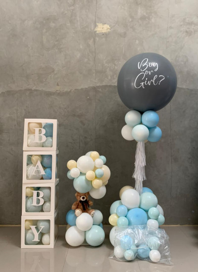 Standee Baby + Gender Reveal